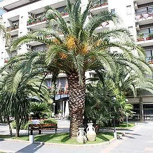 https://rondo-hotel.barihotels.org